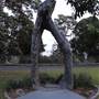Mrs. Macquarie's Point - Royal Botanic Garden Sydney