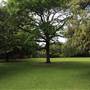 Rose Garden & Pavilion - Royal Botanic Garden Sydney