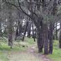 Centennial Park - Ash Paddock