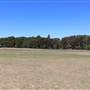 Centennial Park - Brazilian Fields