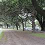Centennial Park - Equestrian Grounds