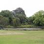 Centennial Park - Lachlan Reserve