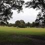 Centennial Park - Lachlan Reserve