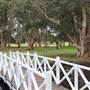 Centennial Park - Lachlan Reserve