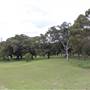 Centennial Park - Mount Steel