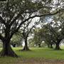 Centennial Park - Mount Steel