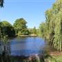Centennial Park - Musgrave Pond