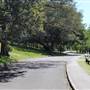 Centennial Park - Musgrave Pond