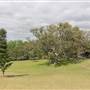 Centennial Park - Paperbark Grove