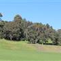 Centennial Park - Queens Park