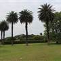 Centennial Park - Rose Garden