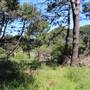 Centennial Park - Sandstone Ridge