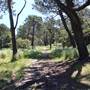 Centennial Park - Sandstone Ridge