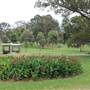 Centennial Park - Frog Hollow