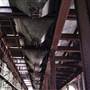 West Ryde Boiler House
