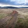Monaro Plains