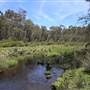 Paddy's River Dam