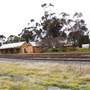 Coolamon Station