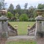 Dame Edith Hospital Grounds