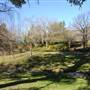Fagan Park