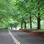 Mount Wilson Roads