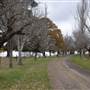 Hillview Heritage Hotel - Southern Highlands