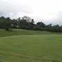 Bedlam Bay Oval adjacent to Gladesville Hospital - Field and River