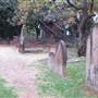 Newtown Cemetery