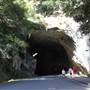 Jenolan Caves Road