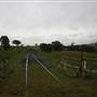 Carcoar Tallwood Mill Rd