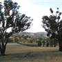 Rainevale Park/Mymms Farm