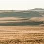 Monaro Plains