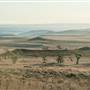 Monaro Plains