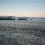 Monaro - Winter Frost