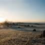 Monaro - Winter Frost