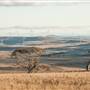 Boco Rock Wind Farm