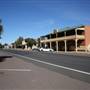 Temora