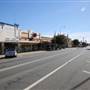 Temora