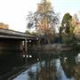 Wagga Wagga Town Centre
