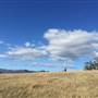 Snow Goose Farm - Glen Alice