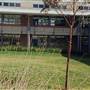 Sydney Japanese School