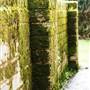 Private House - Batlow