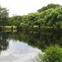 Centennial Park