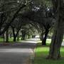 Centennial Park