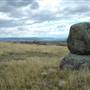 Monaro Plains