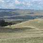 Monaro Plains