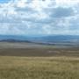 Monaro Plains