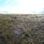 Monaro Plains