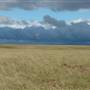 Monaro Plains