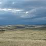 Monaro Plains